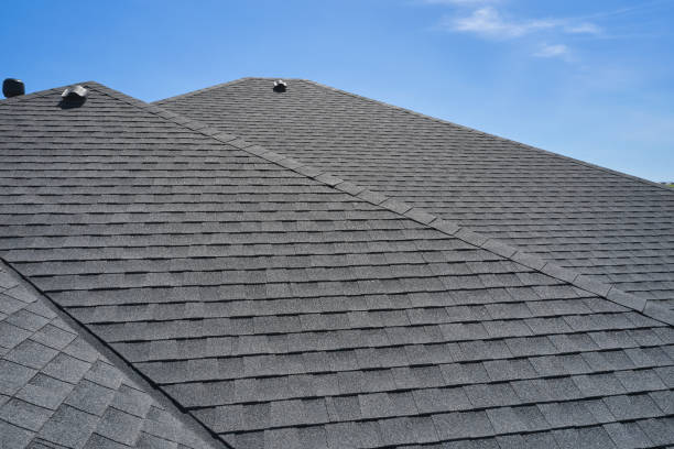 Best Skylight Installation and Repair  in Silver Lake, NC